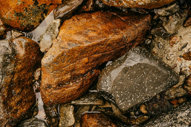 a bunch of rocks that are sitting on some dirt