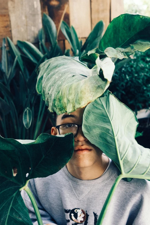 a  stands in front of a pile of plants