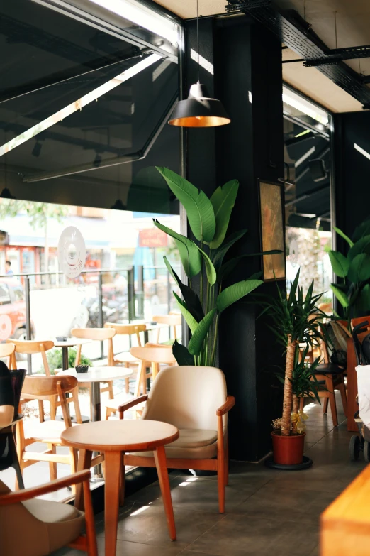 a table with chairs and plants in the middle