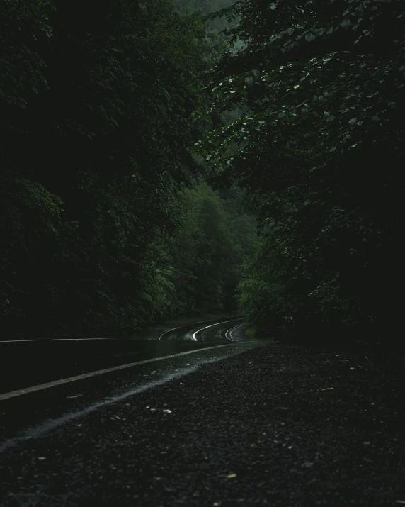 a road in the dark with trees lining it