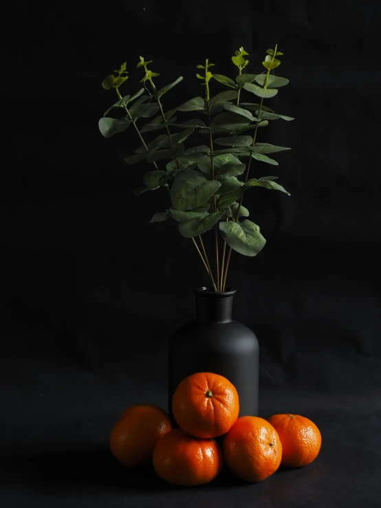 there are a group of oranges sitting next to a vase