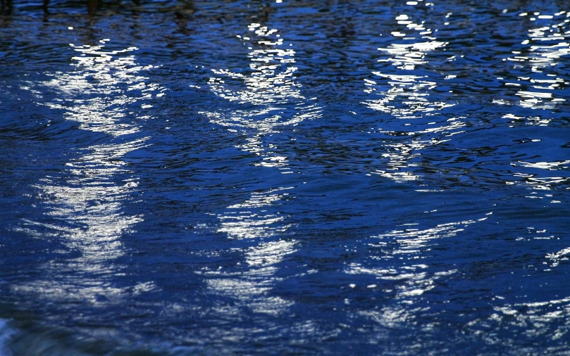 a bird standing on the end of a water front