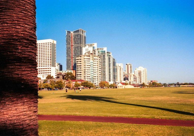 a large open field next to the tall buildings