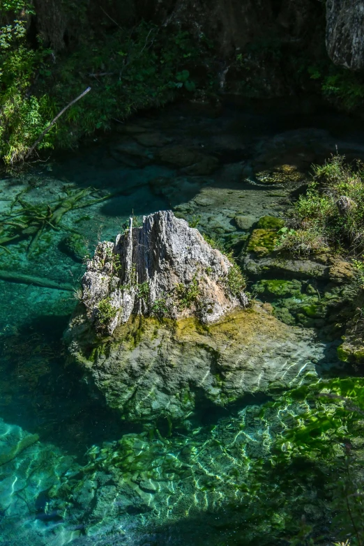 a clear green river in the woods is under the sun