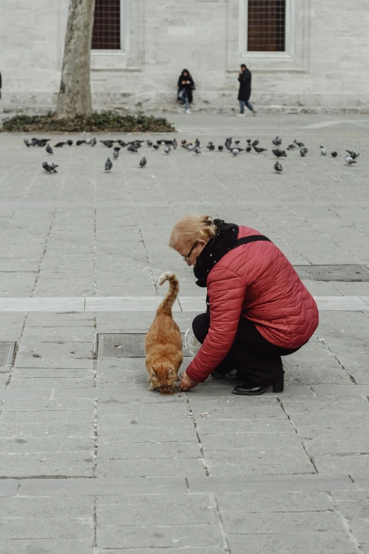 man holding his face to a cat with pigeons on the background