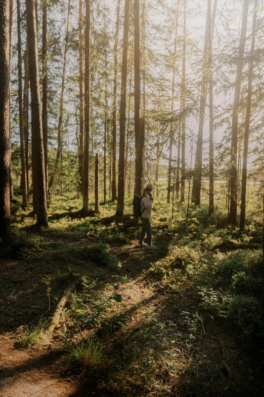 a woman in a black dress walking in a forest