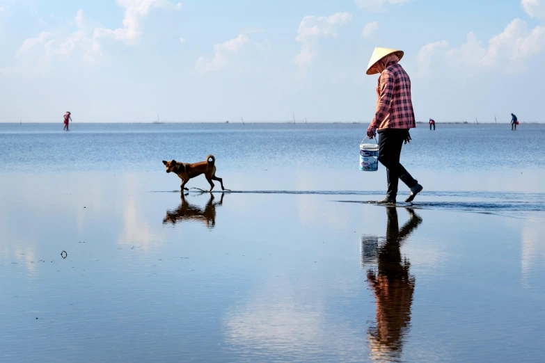 a woman is walking a dog across the water