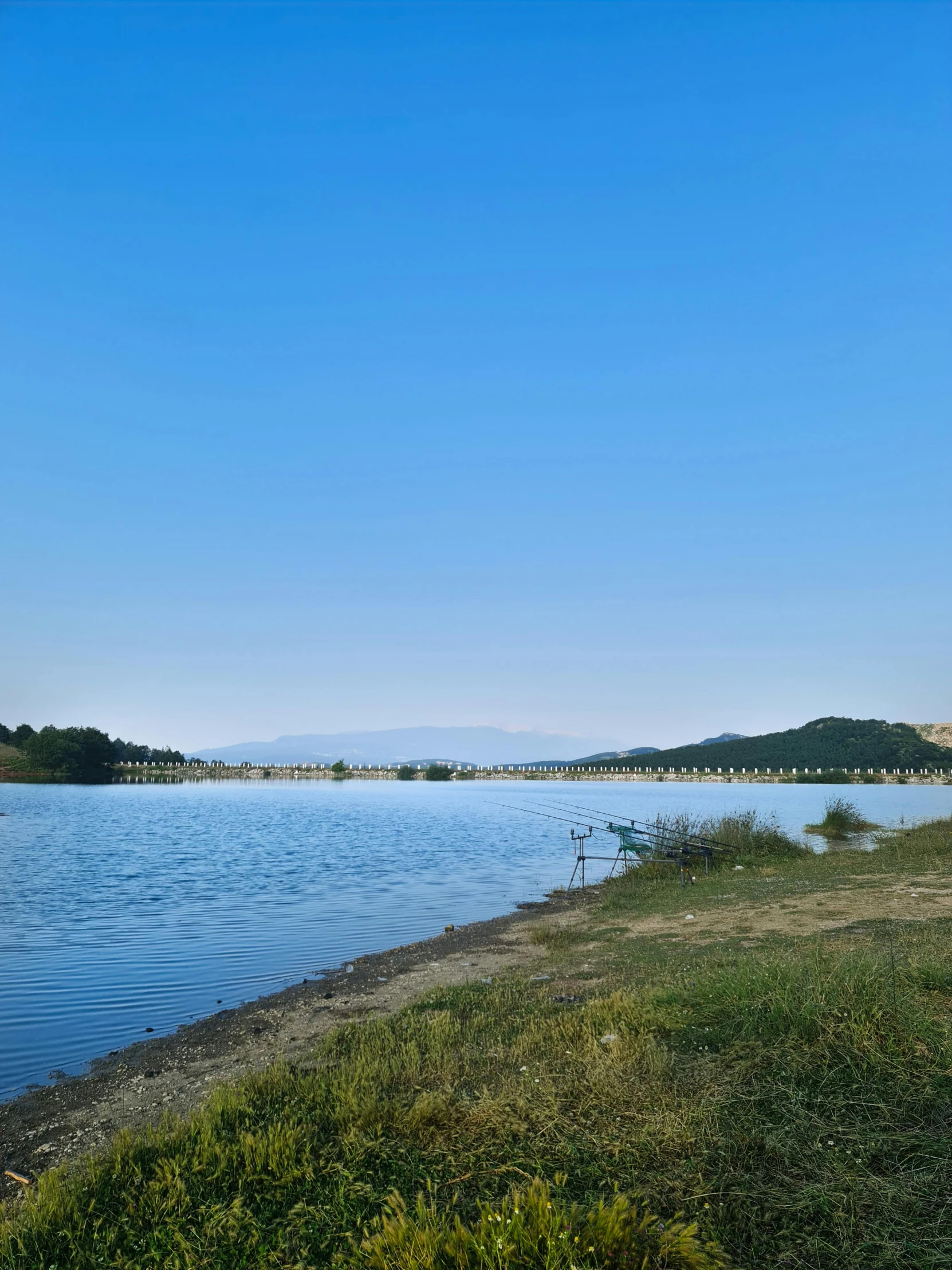 the view of a mountain lake from the shore of a field