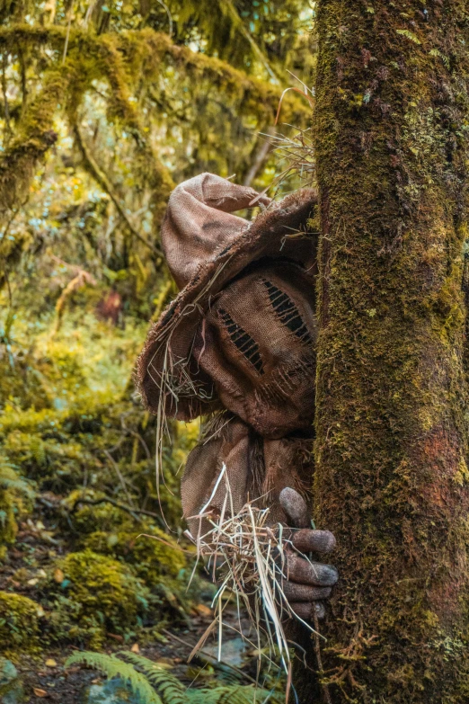 a large monster in the forest hiding its head