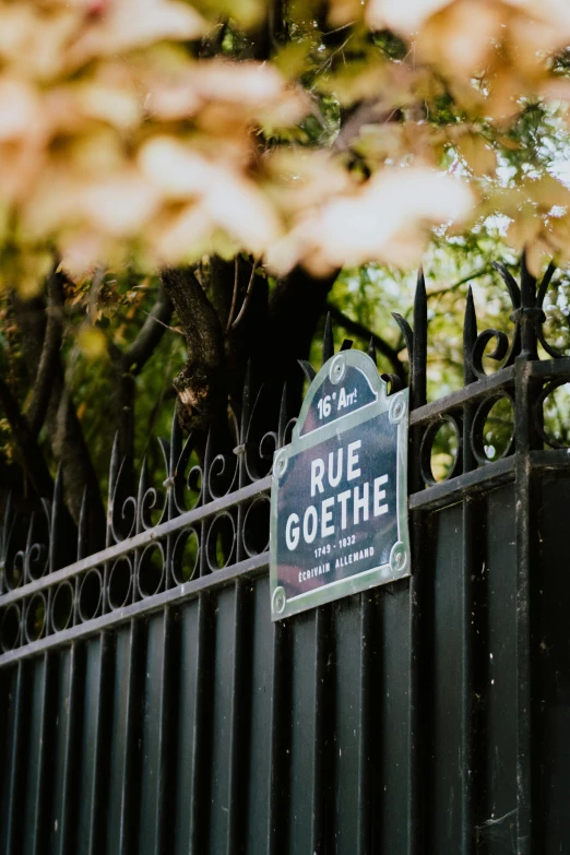 there is a metal fence and sign that says rue goethe