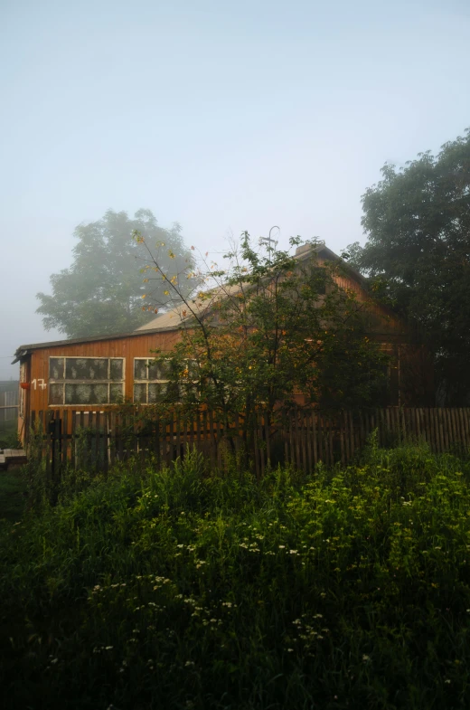 a red shed in fog next to a tree and fence