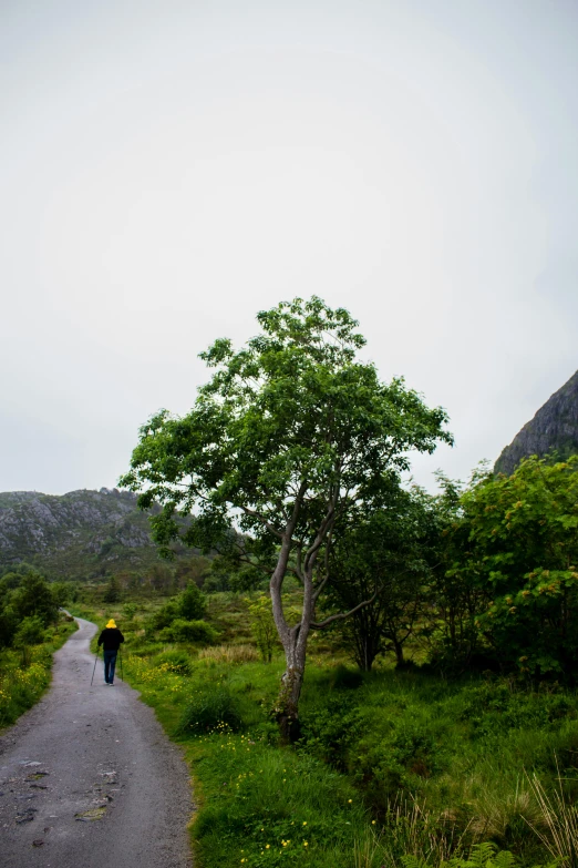 a person that is walking down a path