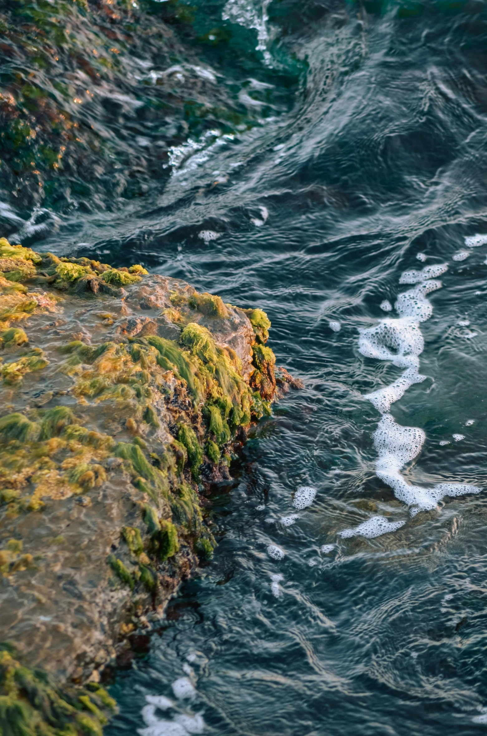 water and plants are on the edge of a cliff