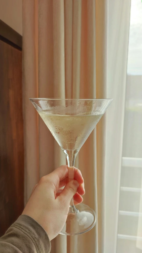a person holding a champagne glass by the window
