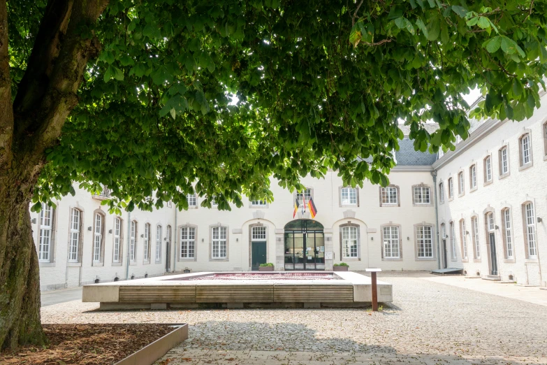 an empty courtyard with bench and steps under the trees