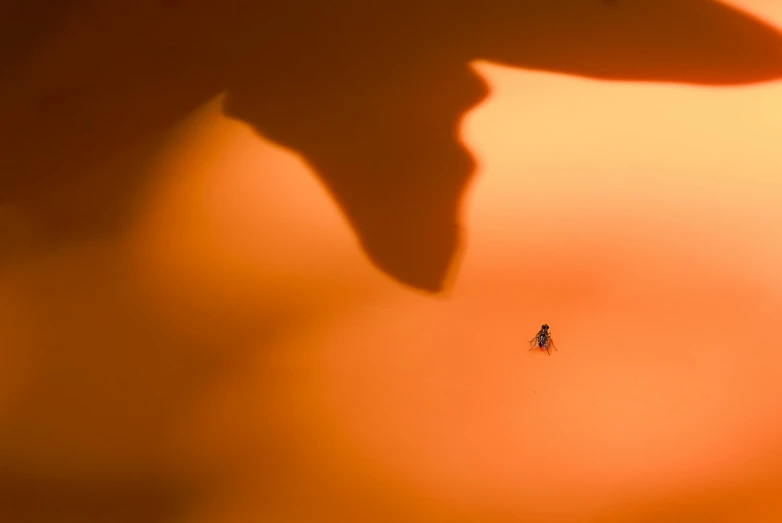 the shadow of a person in a sky holding a umbrella