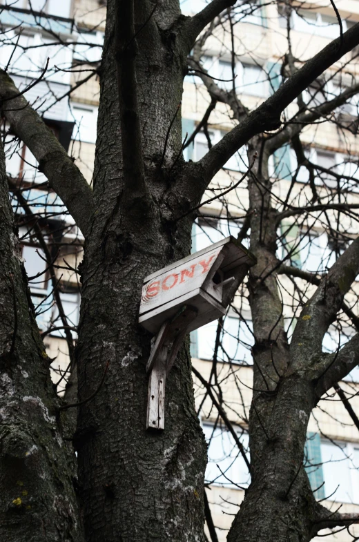 a close up view of a street sign on a tree