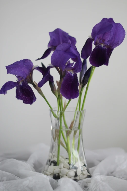 a small vase with purple flowers inside on rocks