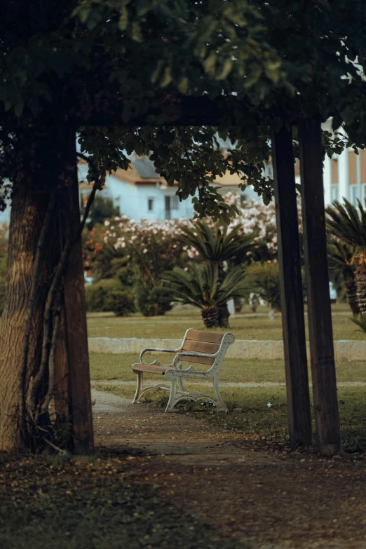 a park bench in the foreground with palm trees near by