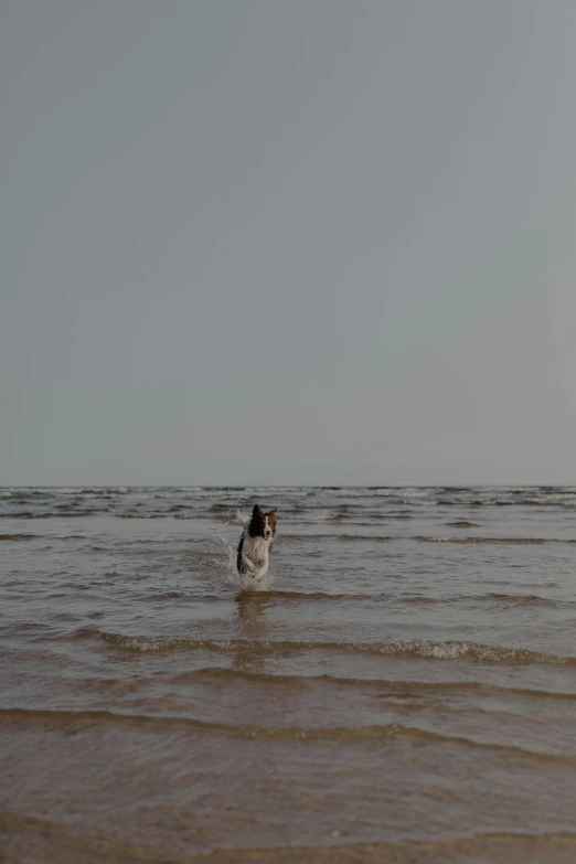 a man wading through the ocean on a surf board