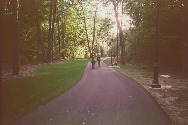 some people walk down the road near trees