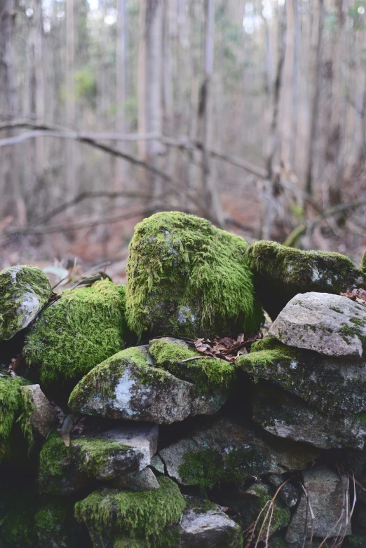 the moss covered rocks are piled on top of each other