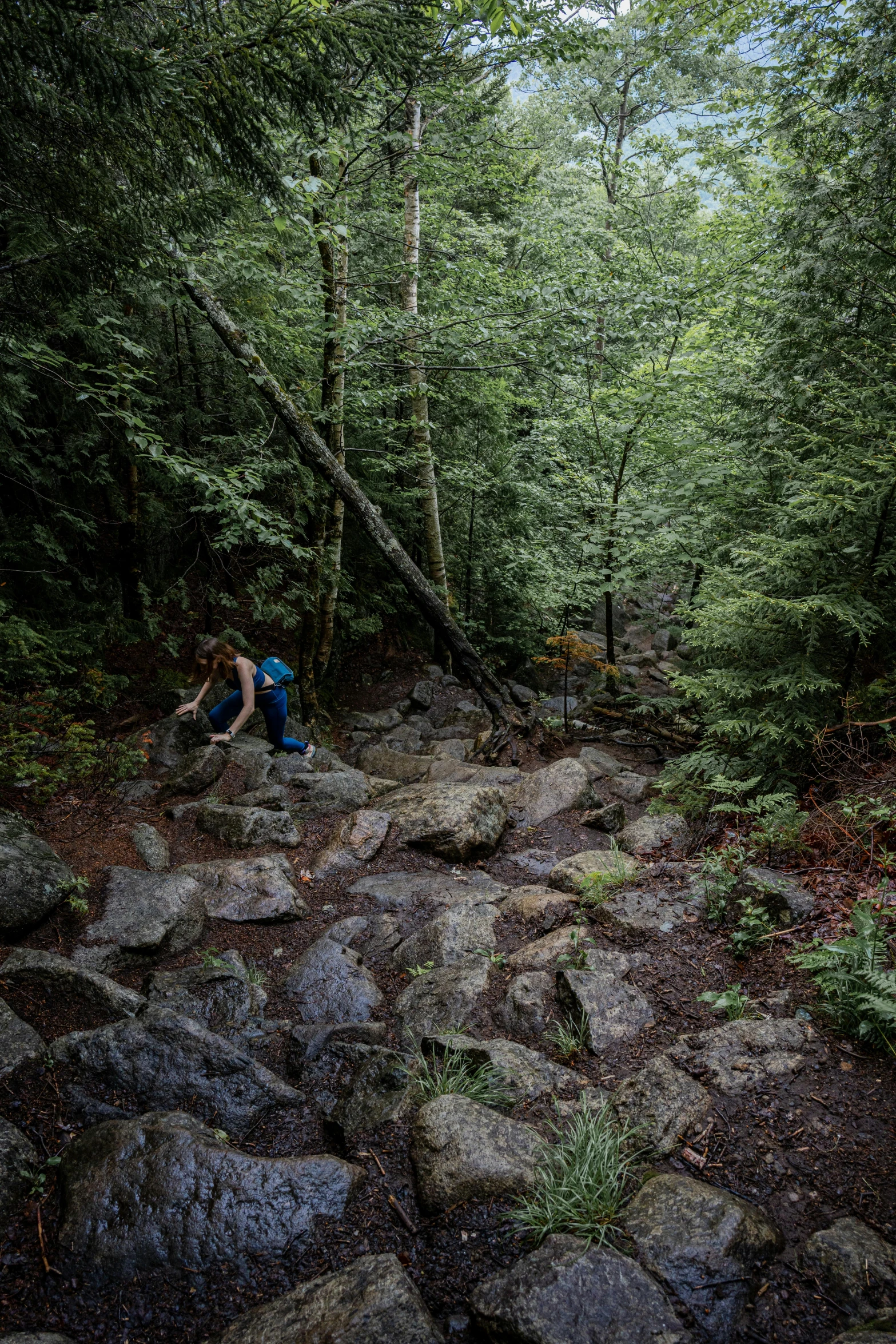 a man is hiking in a forrest with rocks