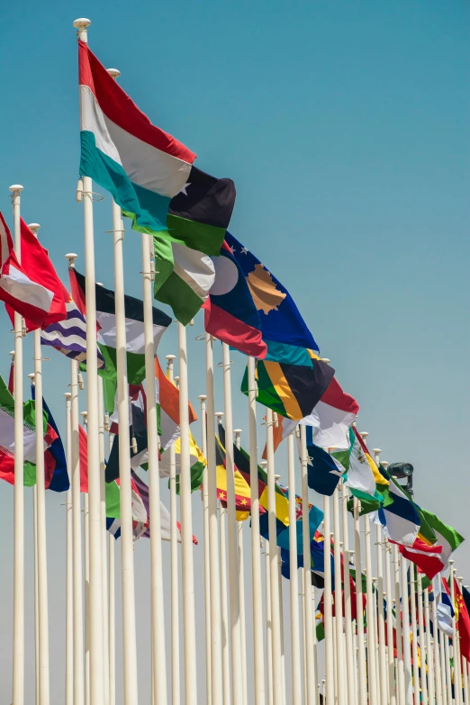 many multi - colored flags of various colors are flying in a row