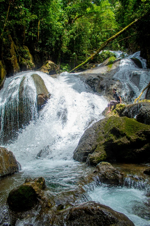 water gushing in a creek near some rocks and trees