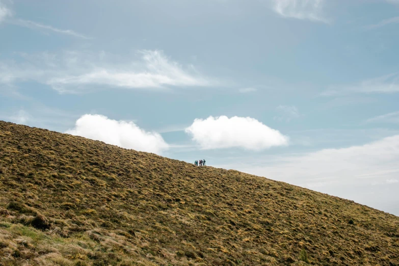 people standing on top of a grass covered hill