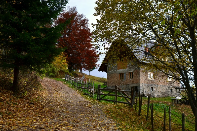 this is a path leading to a house in the woods