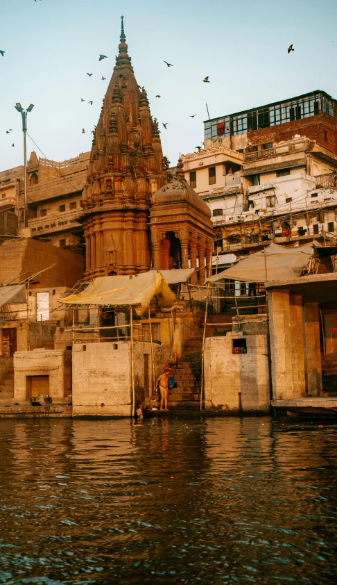 a river scene of a large building with birds flying around