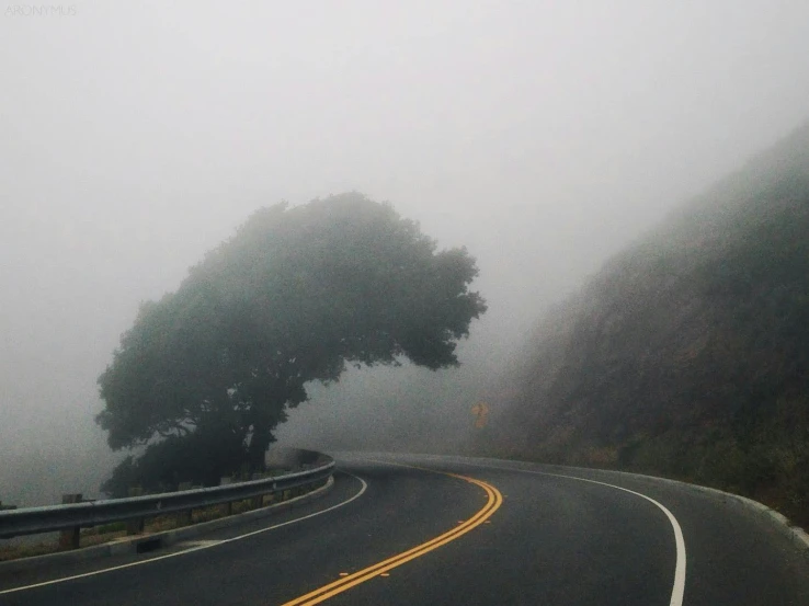 a car rides in the fog on a road