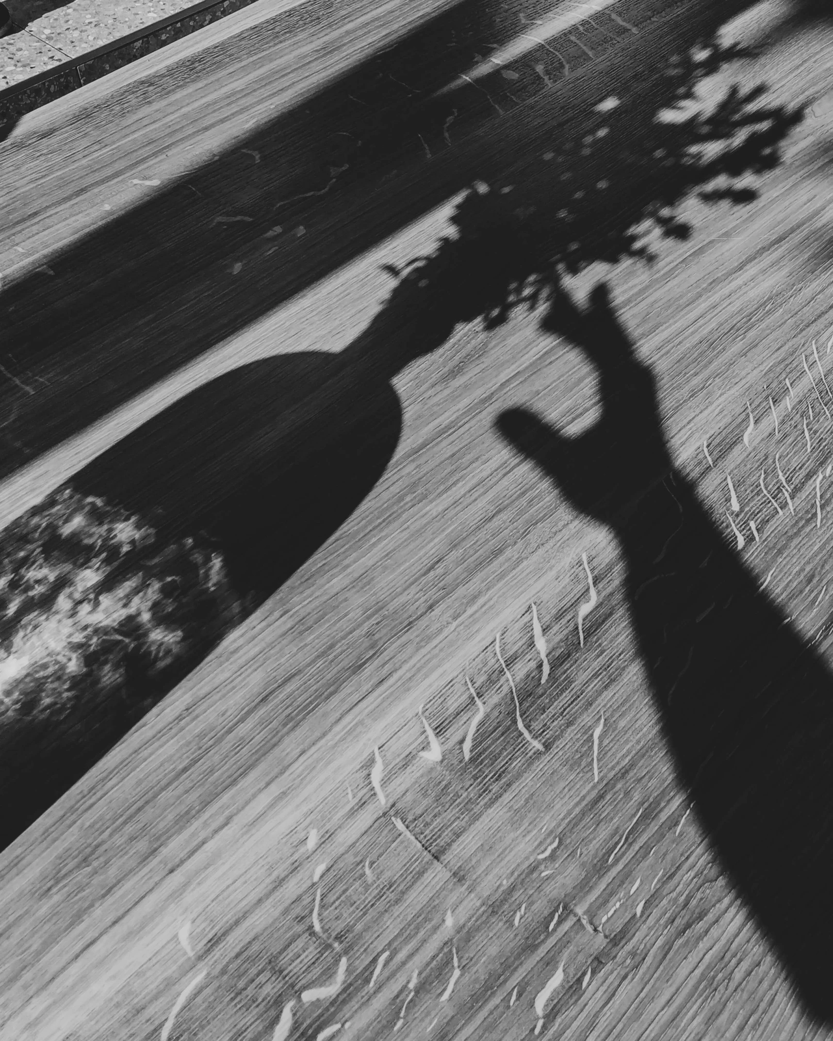 a shadow from a skateboard being blown in the air