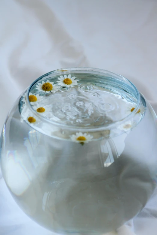 daisies are floating inside of a clear bowl