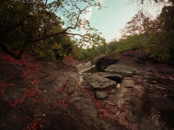 a small river near many rocks and trees