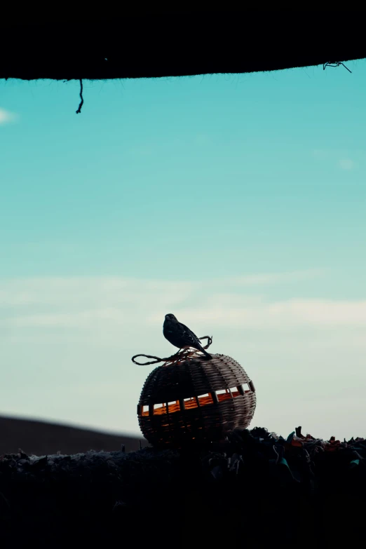 the bird is sitting on top of the round basket