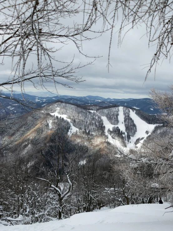 an empty mountain view with trees, snowy ground and hills