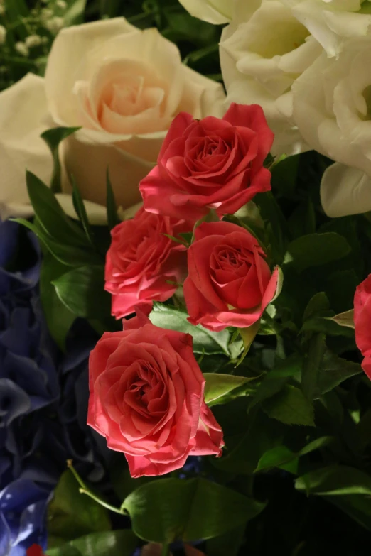 roses in different shades of pink, blue, white and green