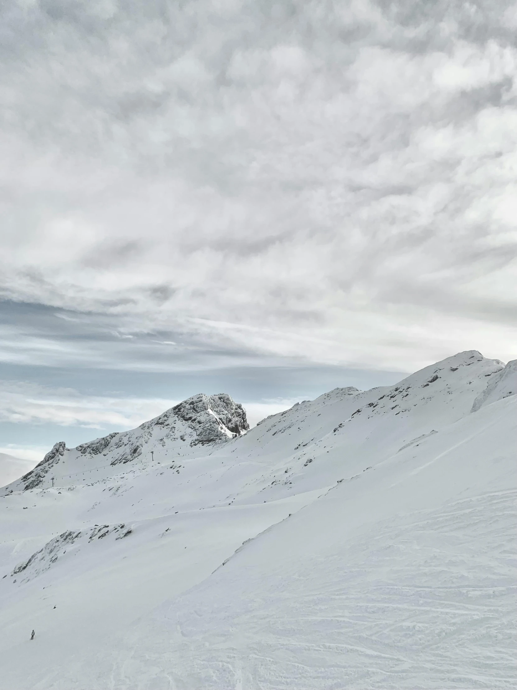 a couple of skiers standing in the snow