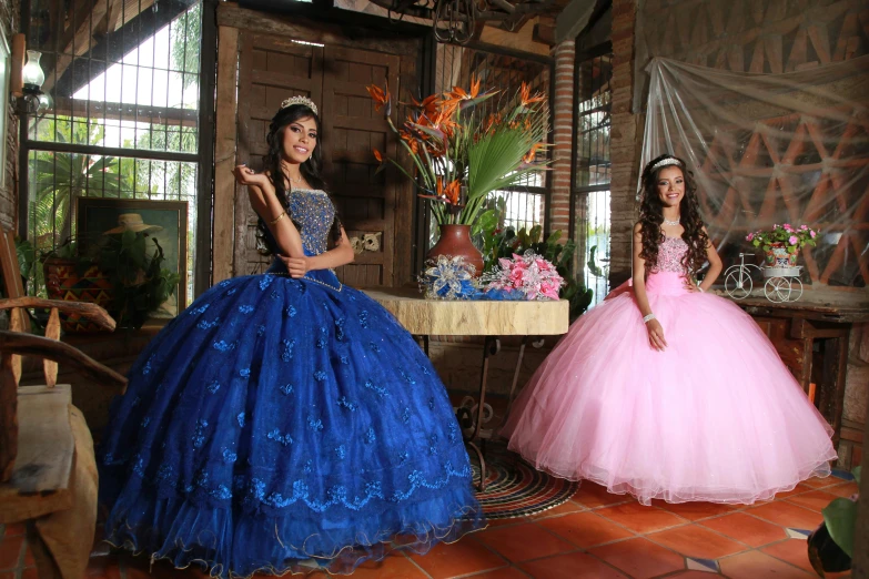 a little girl dressed up as disney and the princess in her beautiful dress