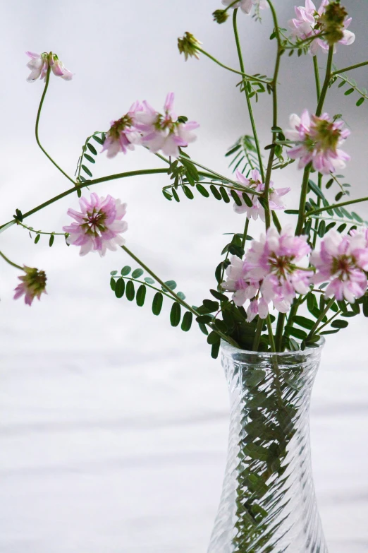 pink flowers in a clear vase by the window