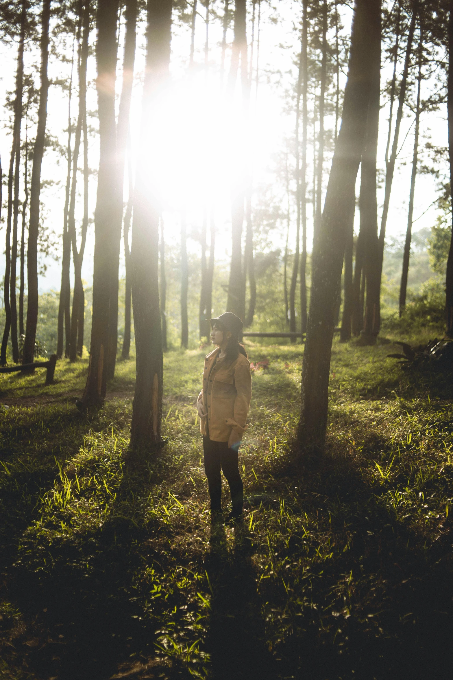 a person stands in a grassy area next to trees