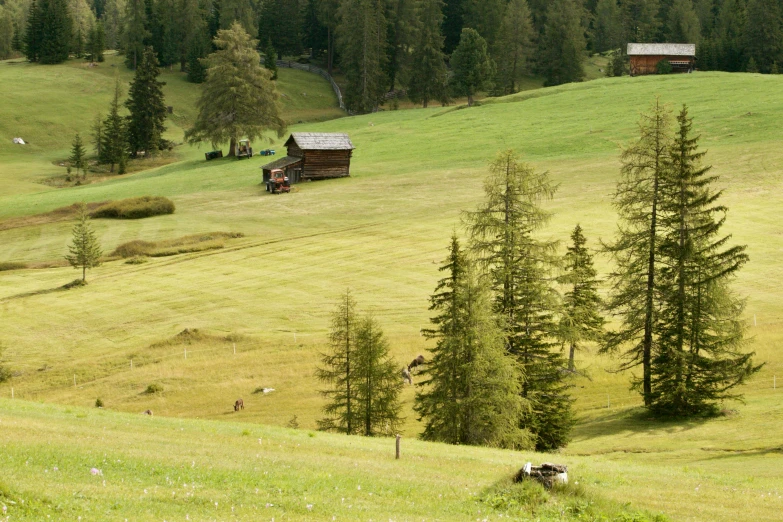 a field with two cabins on top of it