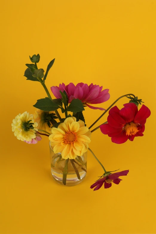 colorful flowers in glass vase on a yellow background