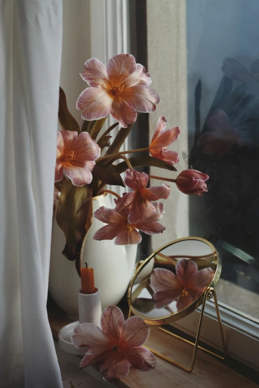 pink flowers are displayed in a vase next to a window