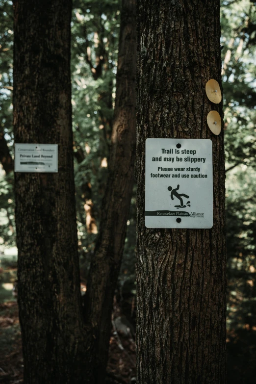 a sign on a tree says trail direction