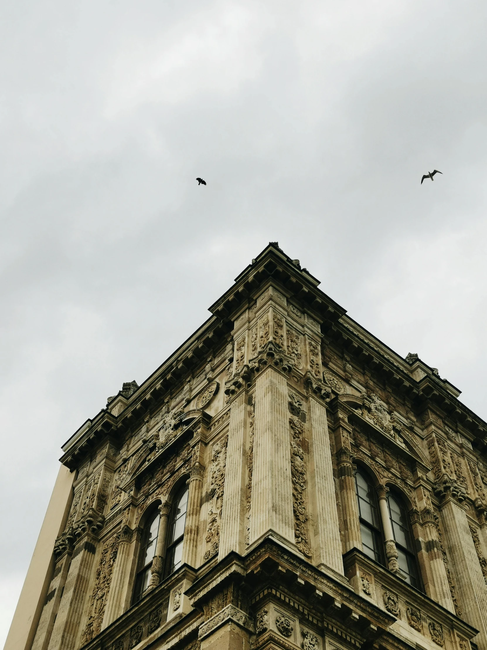 birds flying in the air near a tower