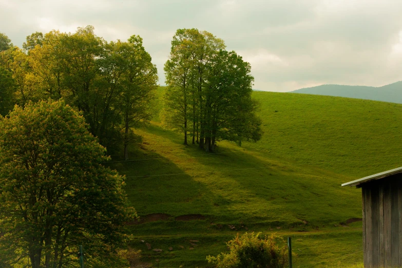 there are several trees on this hillside and the clouds are in the sky