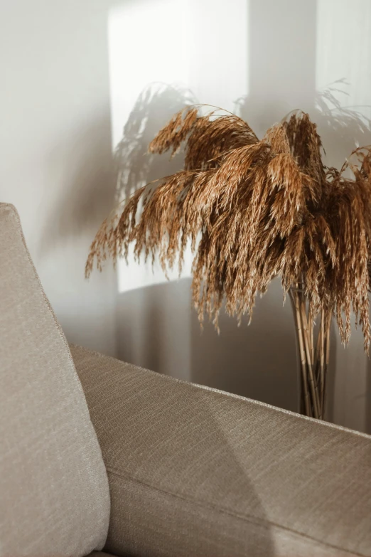 a brown flower next to a brown sofa